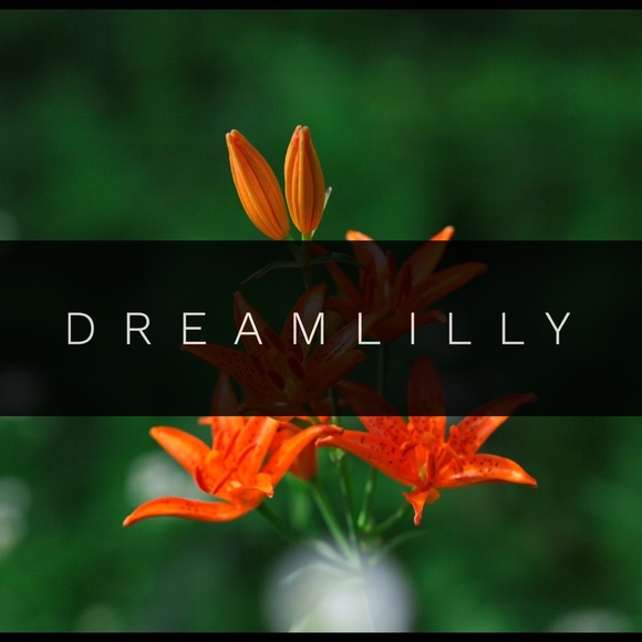 dreamlilly